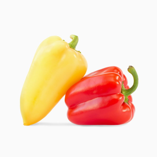 تی شرت طرح زرین بال