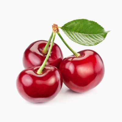 سویشرت طرح زرین بال