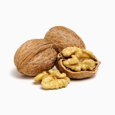 قاب شروع ماجراجویی