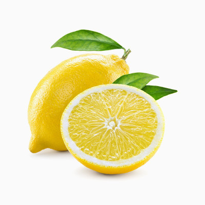 ماگ بهترین ها در راهند