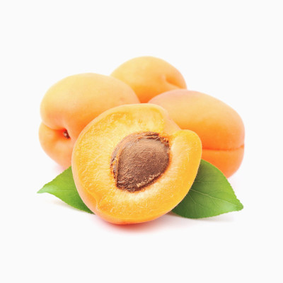 خرس قهوه ای