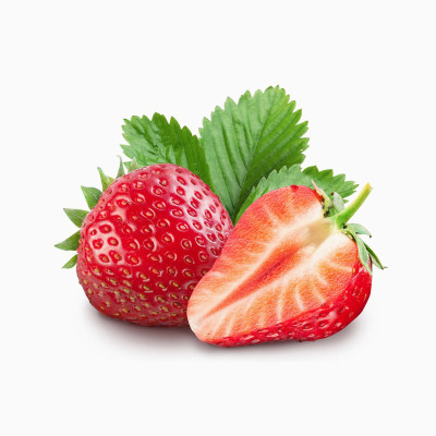 دفترچه خرس قهوه ای